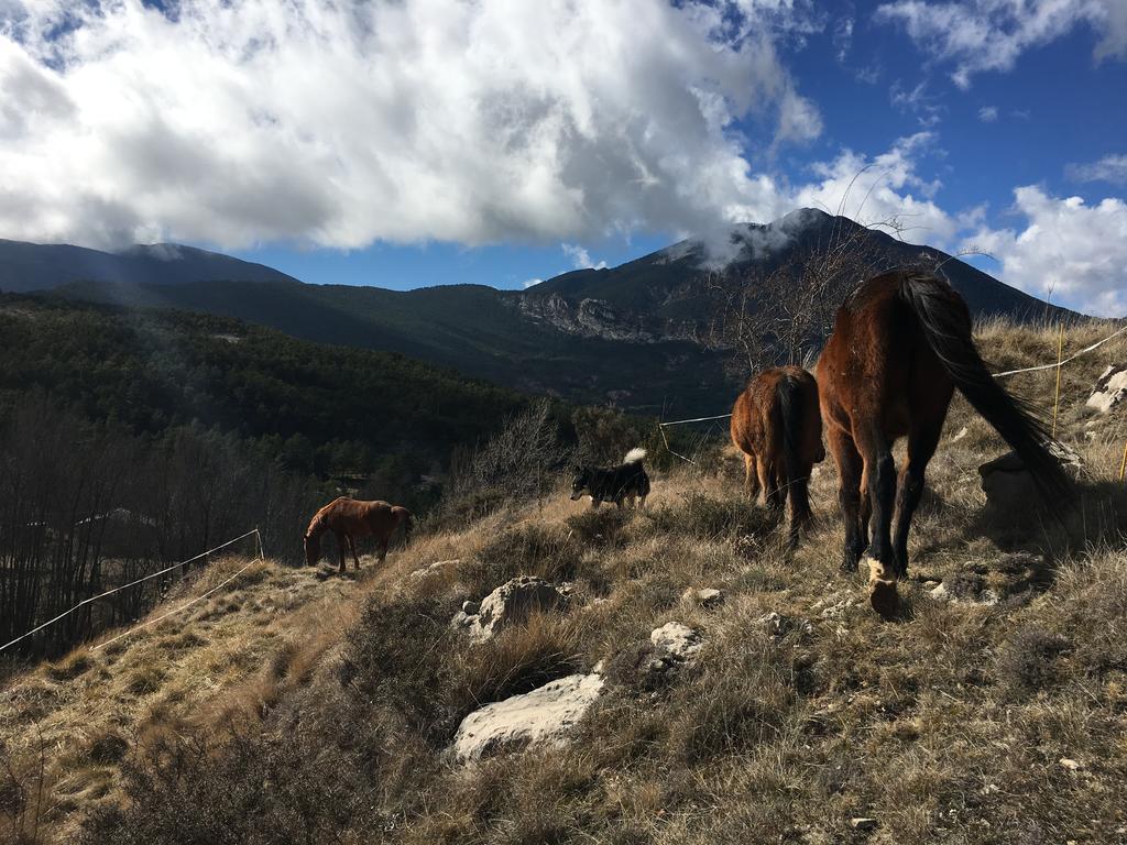 El Jou Nature Sant Corneli Zewnętrze zdjęcie
