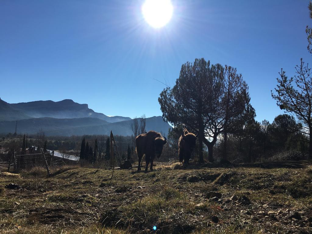 El Jou Nature Sant Corneli Zewnętrze zdjęcie