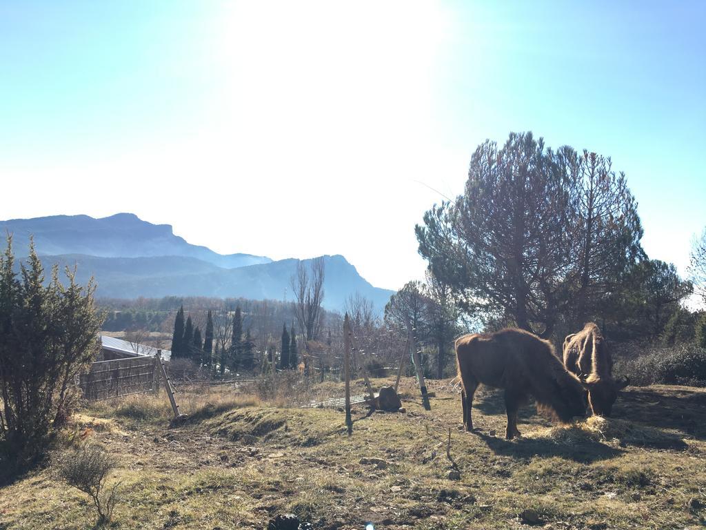 El Jou Nature Sant Corneli Zewnętrze zdjęcie